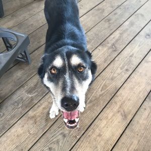 Meet your Posher, Rachael